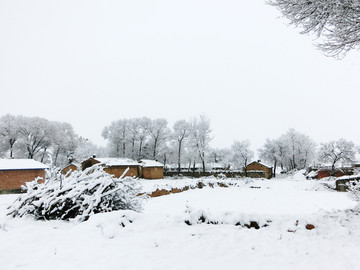 乡村雪景