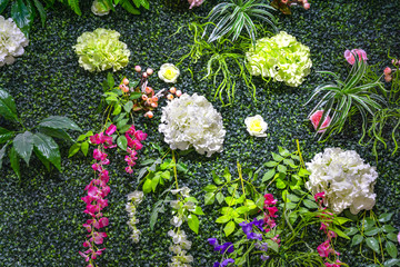 绿植花植墙