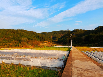 田园风光