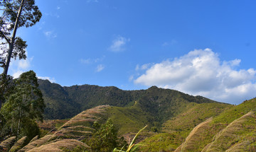 山