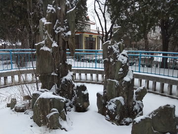 雪