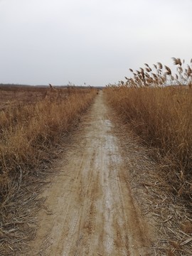 乡村的土路