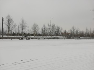 路上雪景