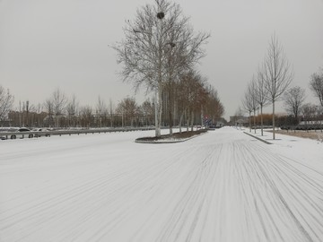 路上雪景