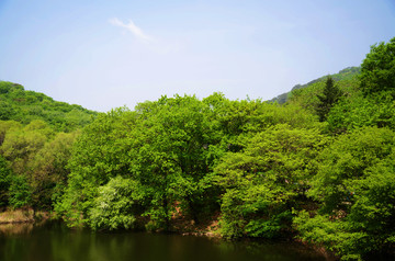 千山龙潭潭水山林山峰风光