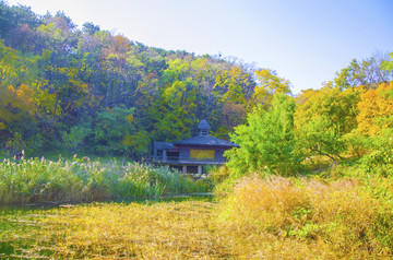 千山桃花溪谷与茅芦木房树林秋景