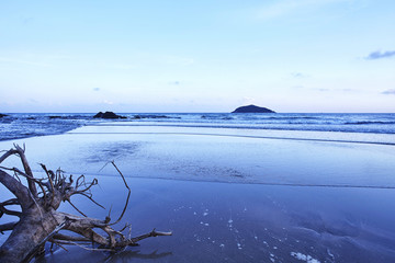 夜幕下蓝色海滩上的枯木