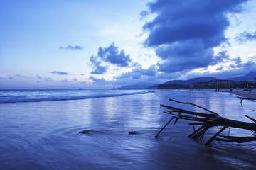 夜幕下蓝色海滩上的古木