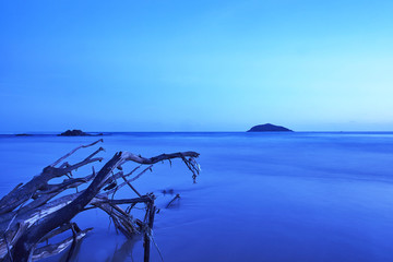 蓝色的大海枯木与海岛