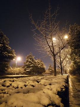 夜晚雪景