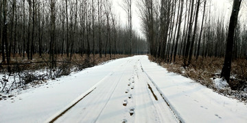 雪