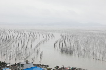 霞浦S弯