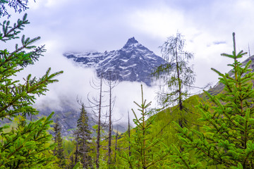 四姑娘山风光