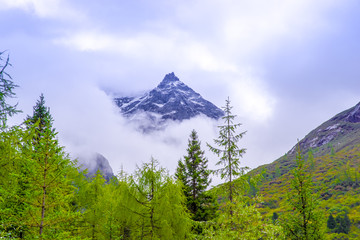 四姑娘山风光