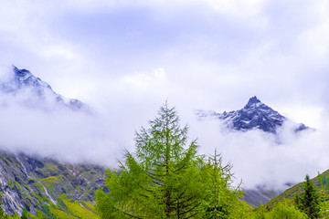 四姑娘山风光