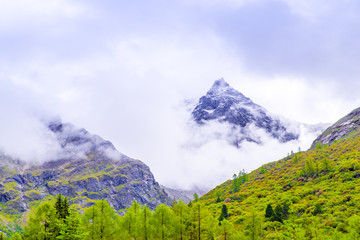 四姑娘山风光