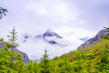 四姑娘山风光