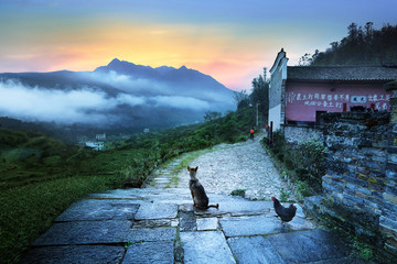 农村风景