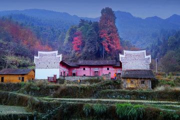 乡村风景