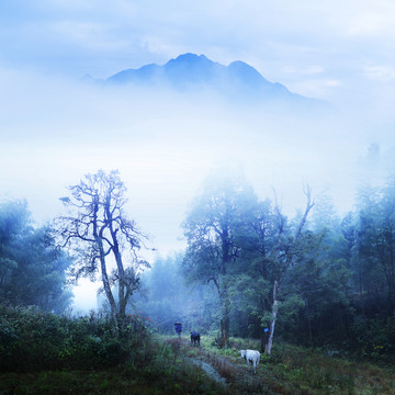 乡村全景