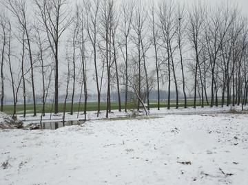 乡村小雪