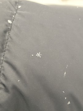 春雪
