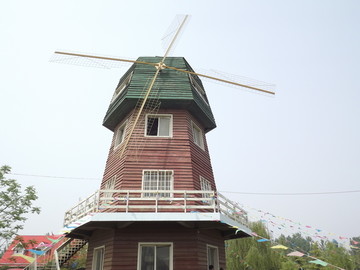 郁金香花园的荷兰风车