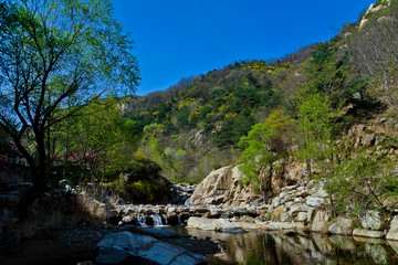 泰山桃花峪风光