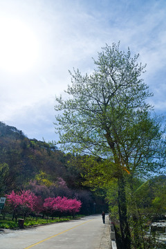 泰山桃花源风光