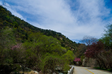 桃花峪风光