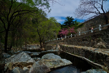 泰山桃花源风光