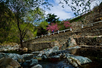 泰山桃花源风光