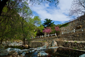 泰山桃花源风光