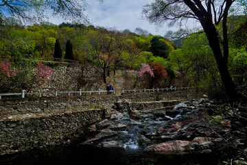 桃花源风光