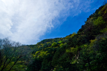 桃花峪风光