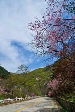 桃花峪风光