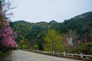 泰山桃花源风光