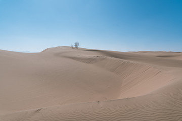 腾格里沙漠