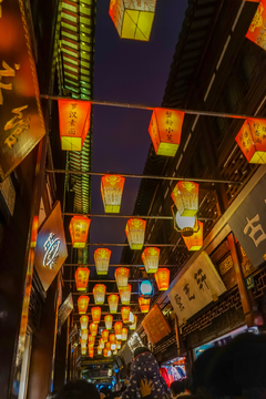 豫园灯展