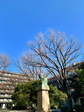 日本东京大学校园雕塑