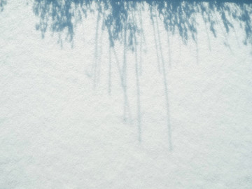 雪面上的植物投影