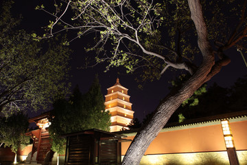 西安大雁塔夜景
