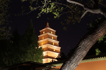 西安大雁塔夜景