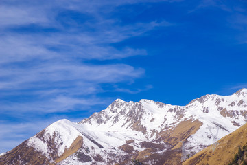 鹧鸪山