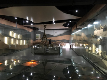 科技馆恐龙化石展示
