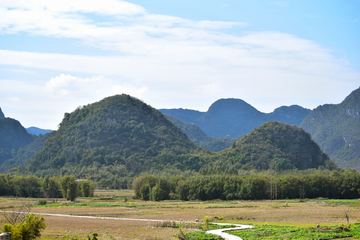 田野