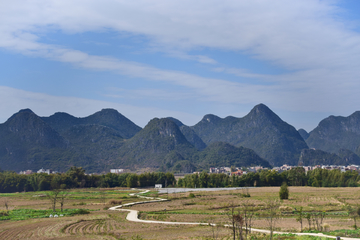 田野