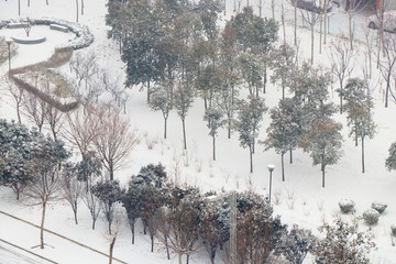 俯瞰园林雪景