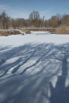 雪景