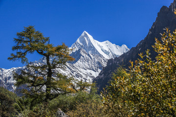 央迈勇夏诺多吉峰